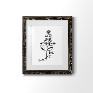 Inky Botanical III - Premium Framed Print - Distressed Barnwood Frame - Ready to Hang