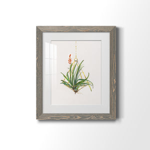 Gardenaire I - Barnwood Framed Art Print