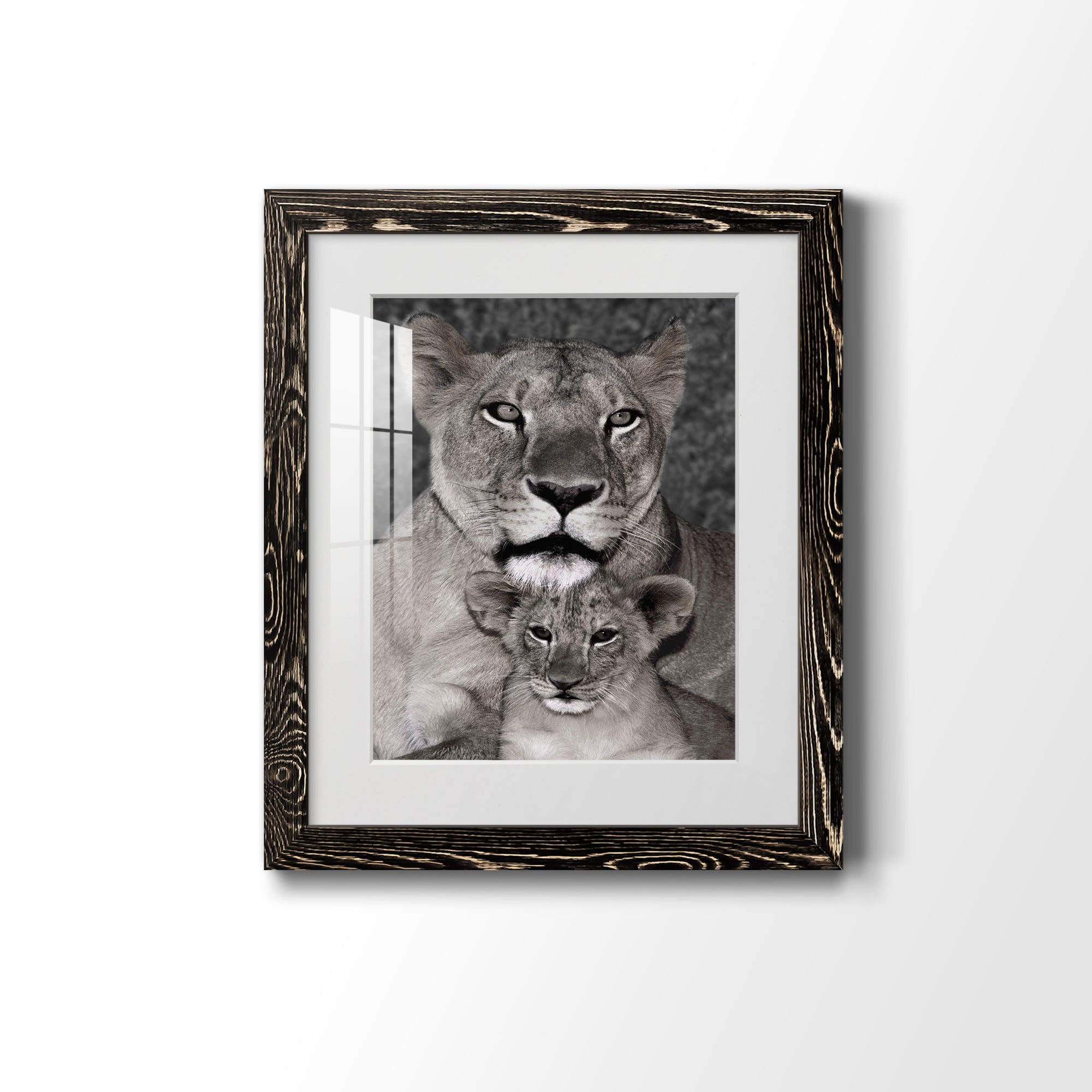 Lioness and Cub - Barnwood Framed Art Print