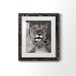 Lioness and Cub - Barnwood Framed Art Print