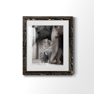 Family Moment - Barnwood Framed Art Print