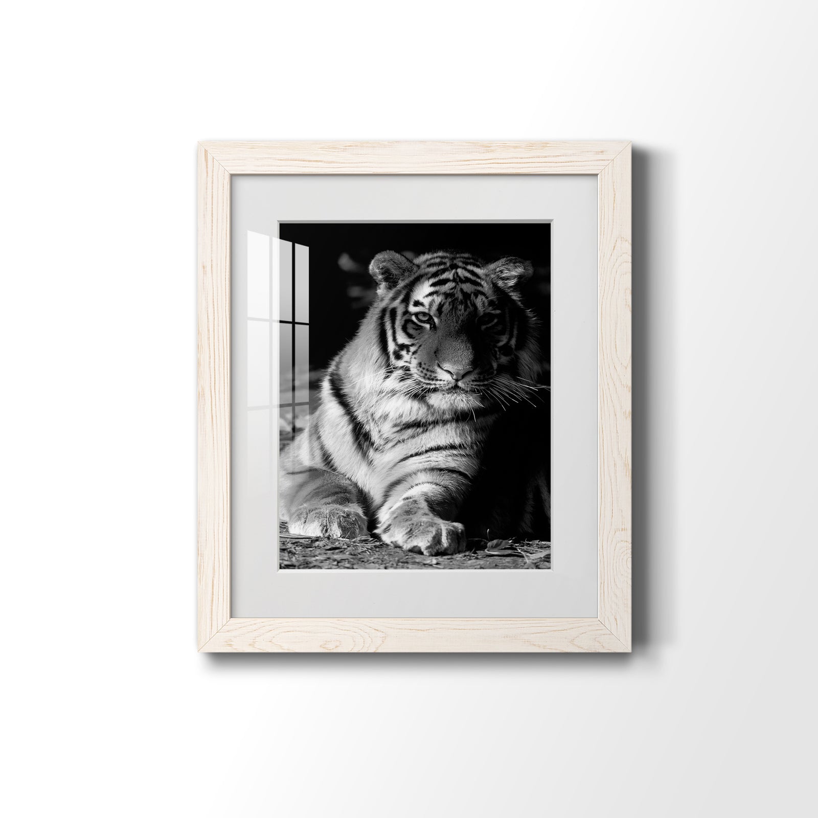 Tiger Repose - Barnwood Framed Art Print