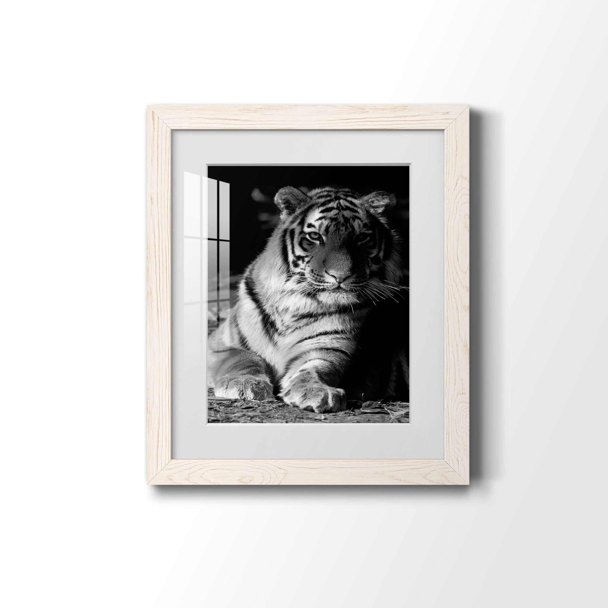 Tiger Repose - Barnwood Framed Art Print