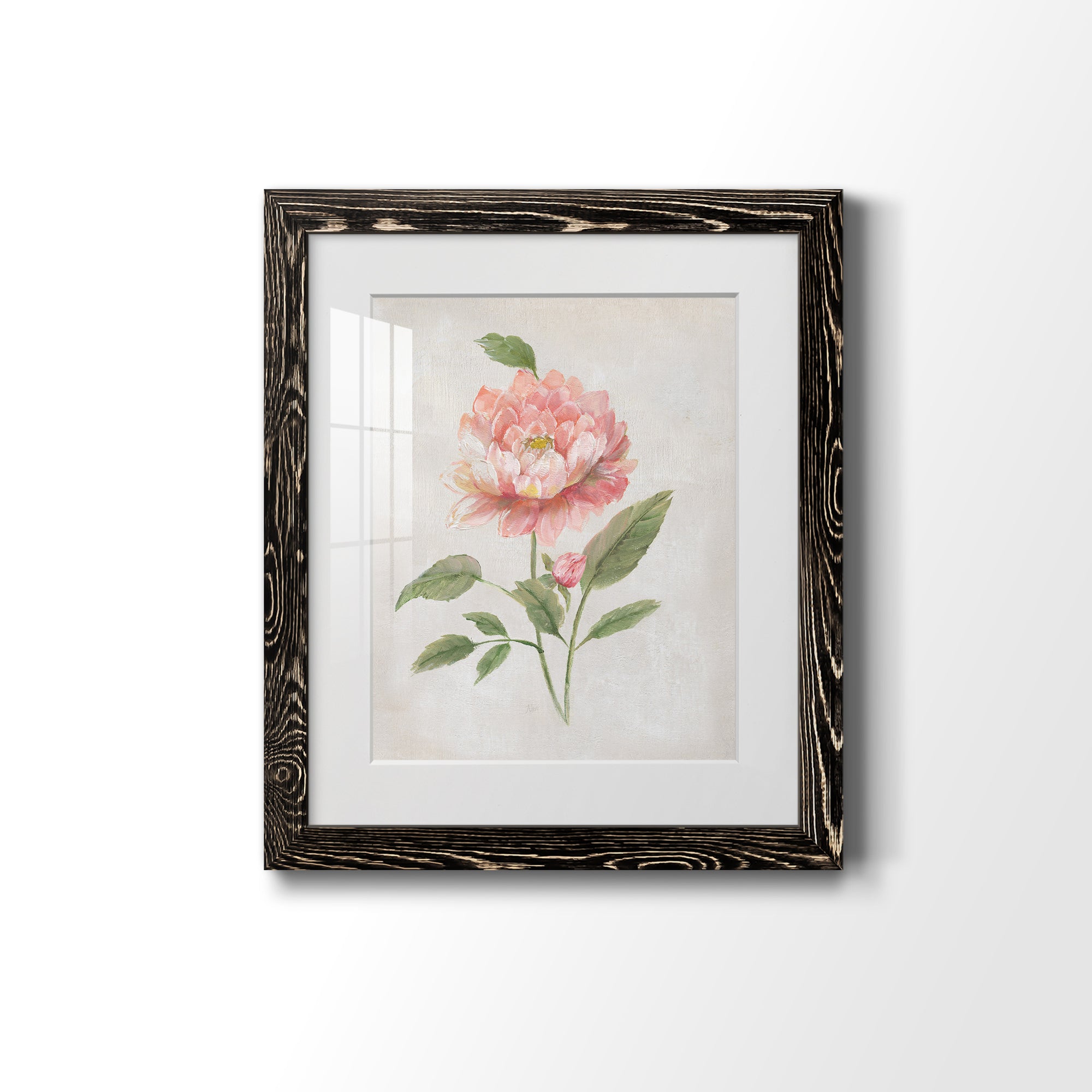 Grandiflora III - Barnwood Framed Art Print