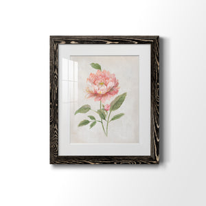 Grandiflora III - Barnwood Framed Art Print