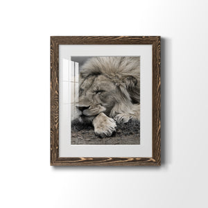 Sleepy Afternoon in Masai Mara - Barnwood Framed Art Print