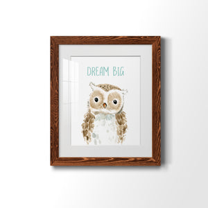 Dream Big Owl - Barnwood