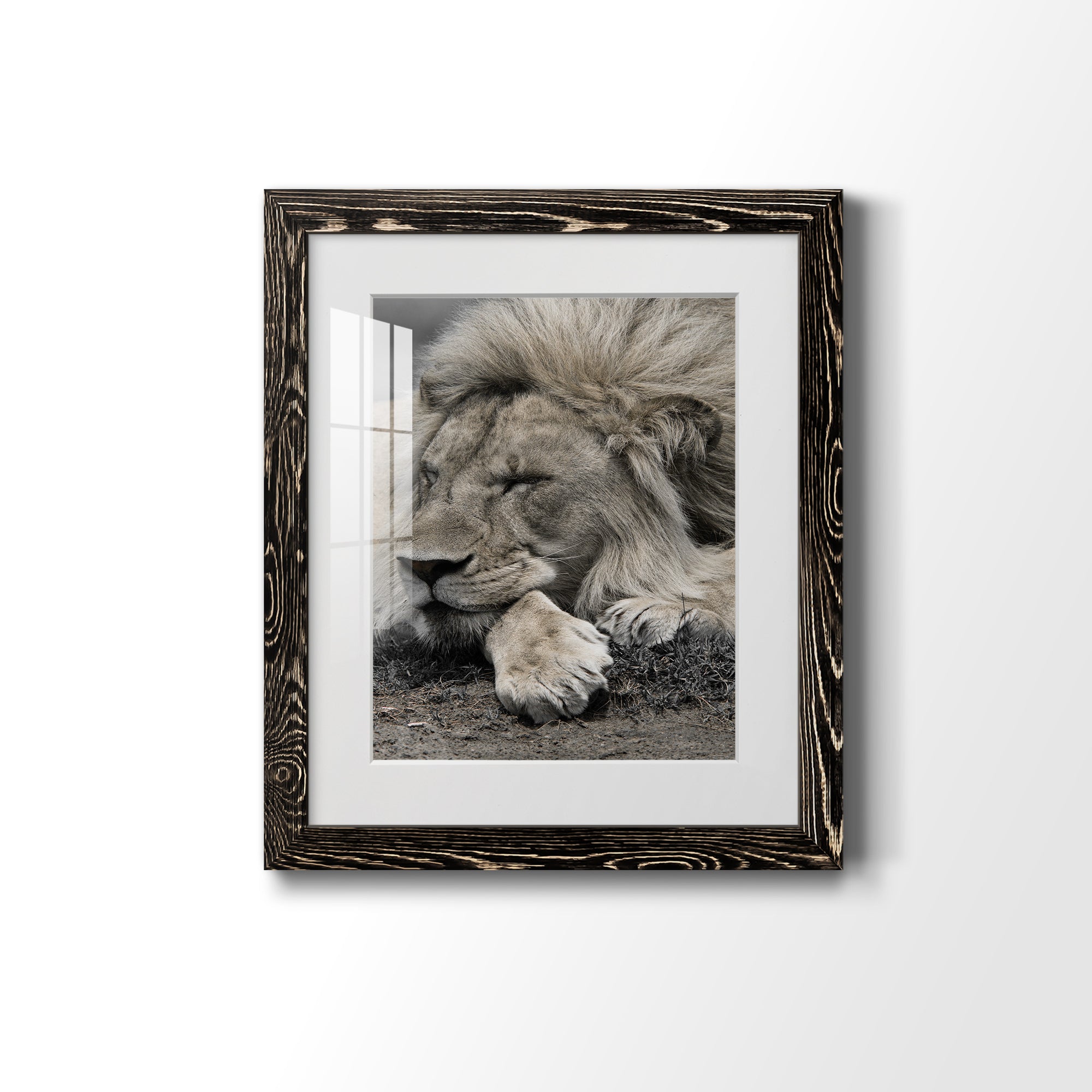 Sleepy Afternoon in Masai Mara - Barnwood Framed Art Print