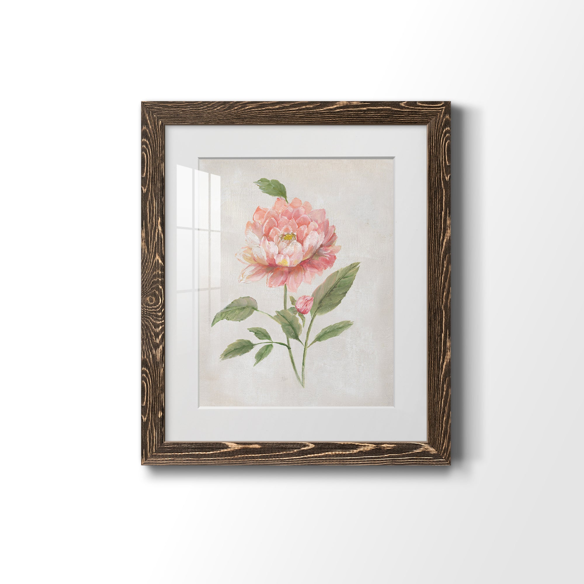 Grandiflora III - Barnwood Framed Art Print