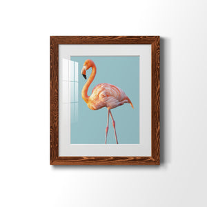 Flamingo - Barnwood