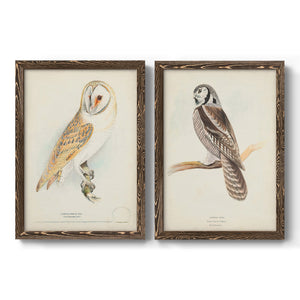 Barn Owl - Premium Framed Canvas 2 Piece Set - Ready to Hang