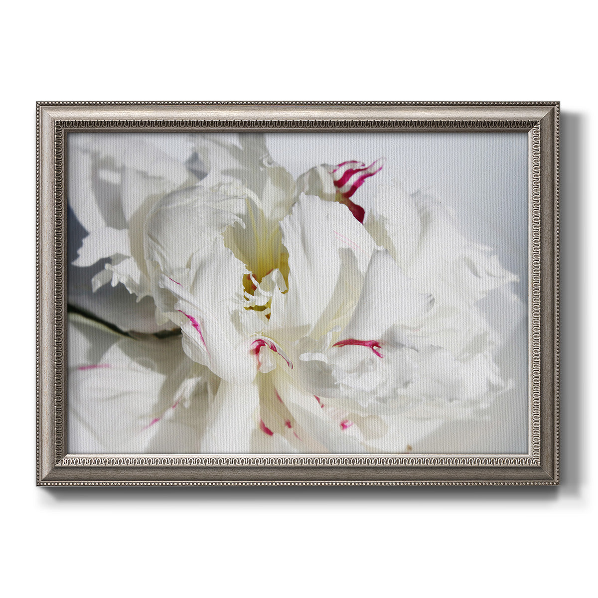 Breathless II Premium Framed Canvas- Ready to Hang