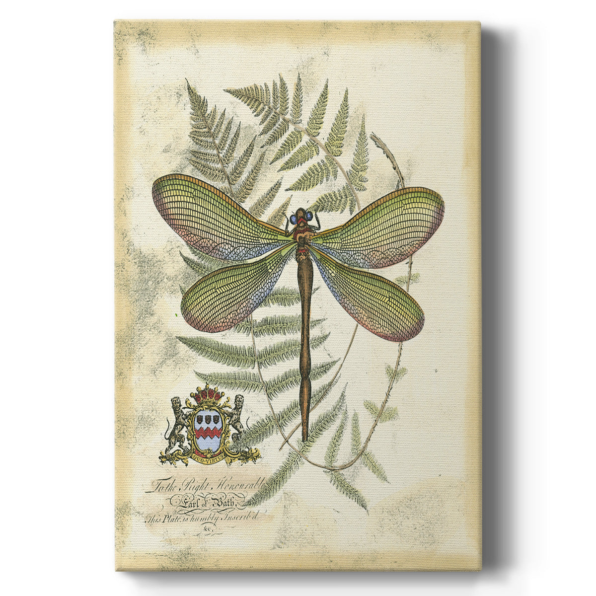 Regal Dragonfly II (PP)  - Canvas Art Print