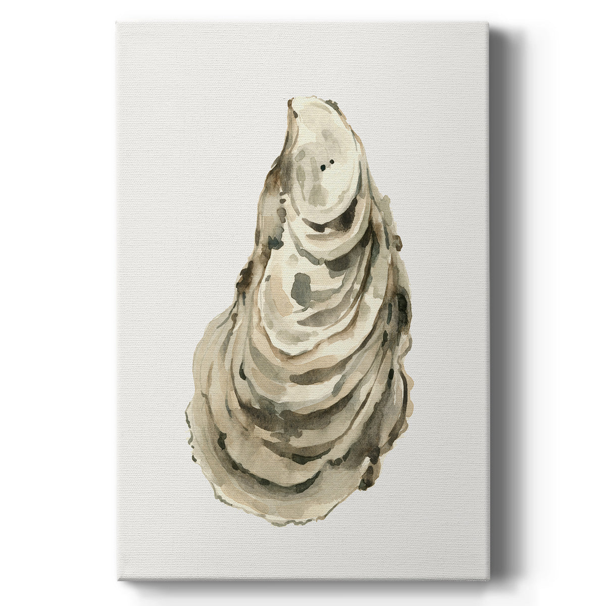 Neutral Oyster Study I  Premium Gallery Wrapped Canvas - Ready to Hang