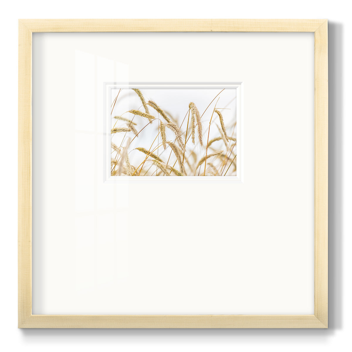 Wheat Premium Framed Print Double Matboard
