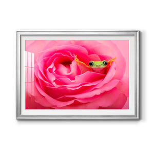 Hanging On VIII - Modern Framed Art Print