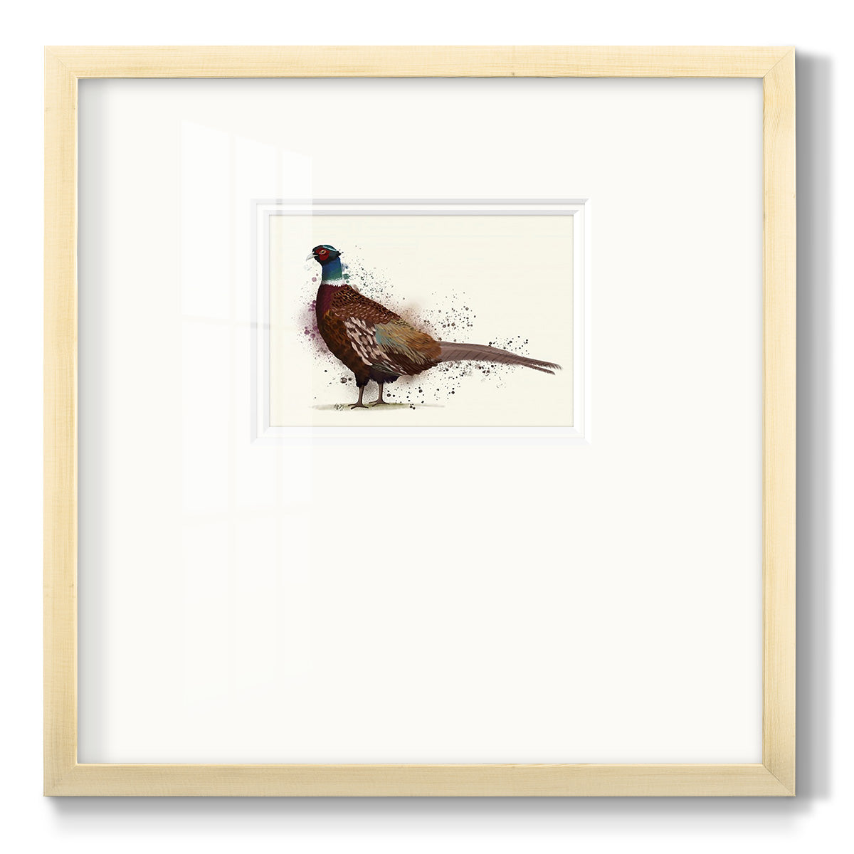 Pheasant Splash 1 Premium Framed Print Double Matboard