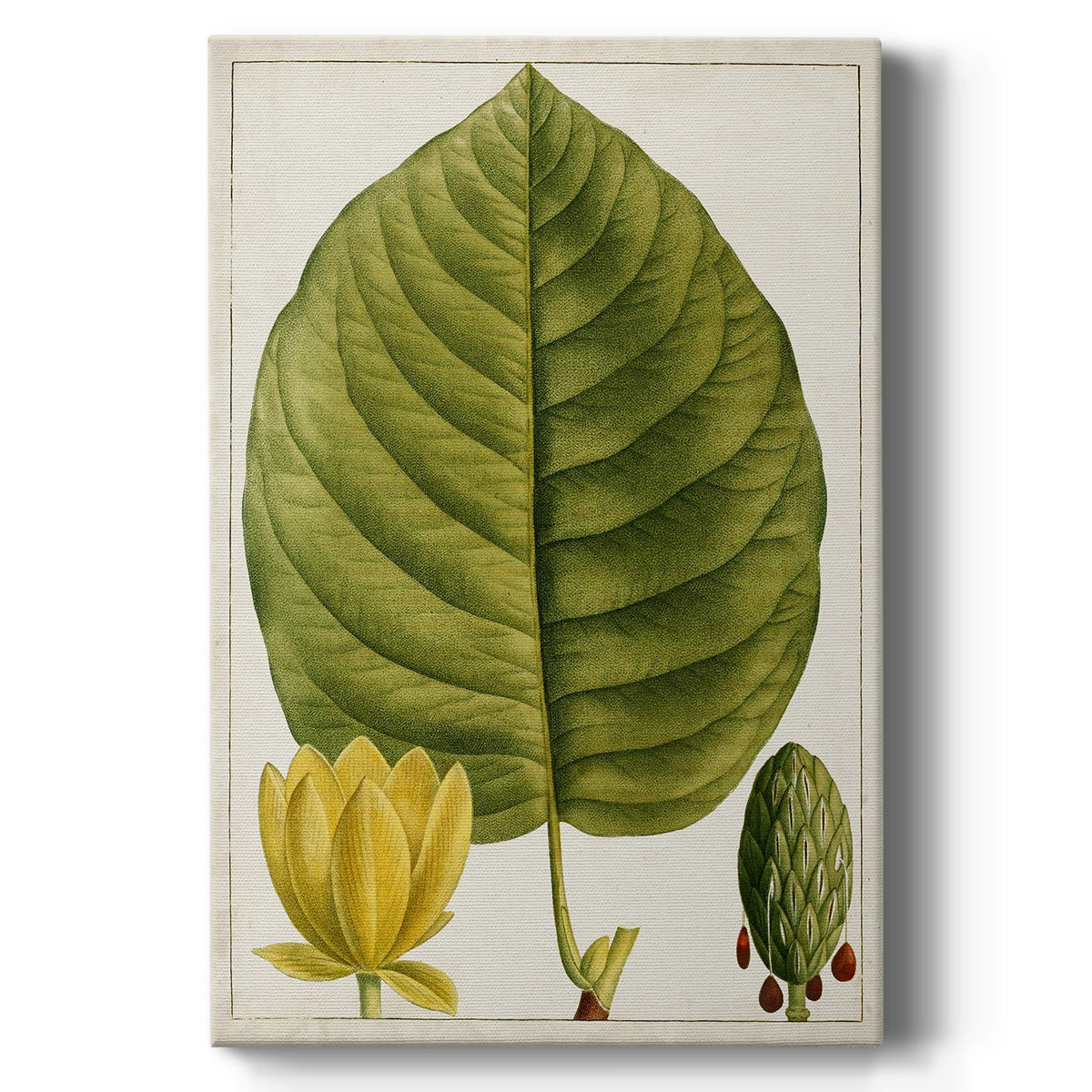 Antique Flowering Trees I - Canvas Art Print