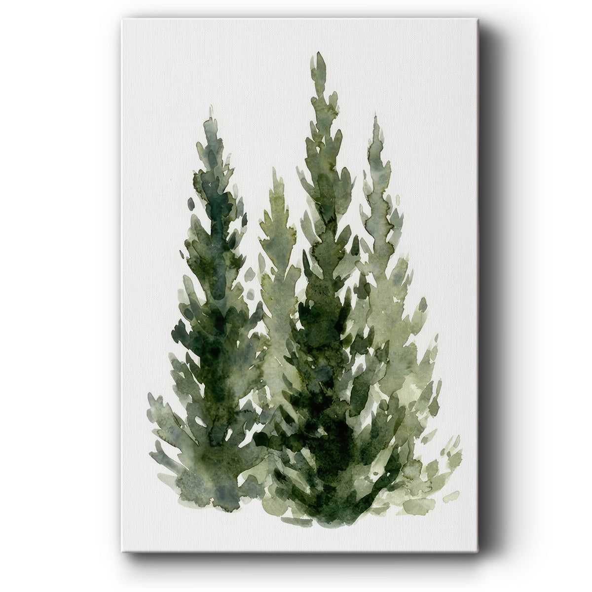 Simple Evergreens II - Gallery Wrapped Canvas
