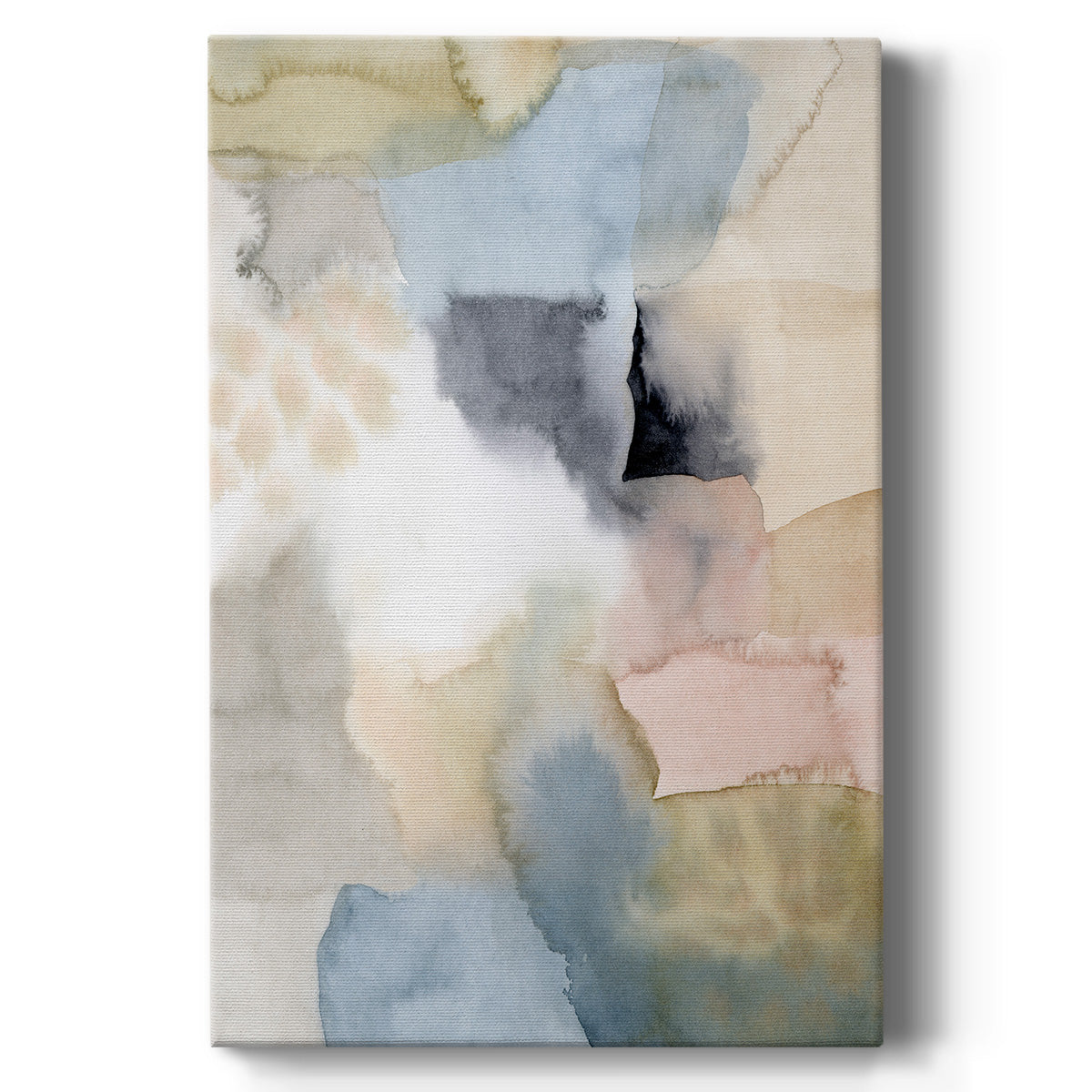 Salmon Rocks II - Canvas Art Print