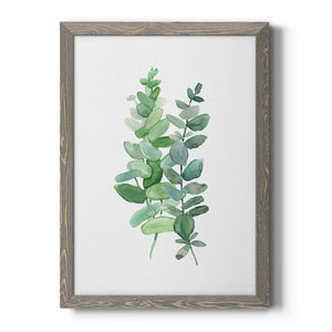 Eucalyptus II - Premium Canvas Framed in Barnwood - Ready to Hang