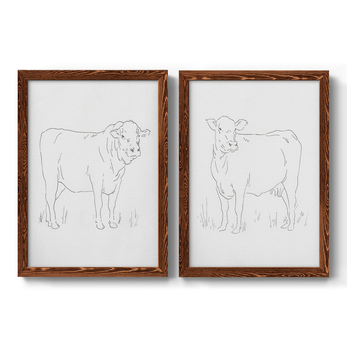 Limousin Cattle I - Barnwood Framed Canvas Set