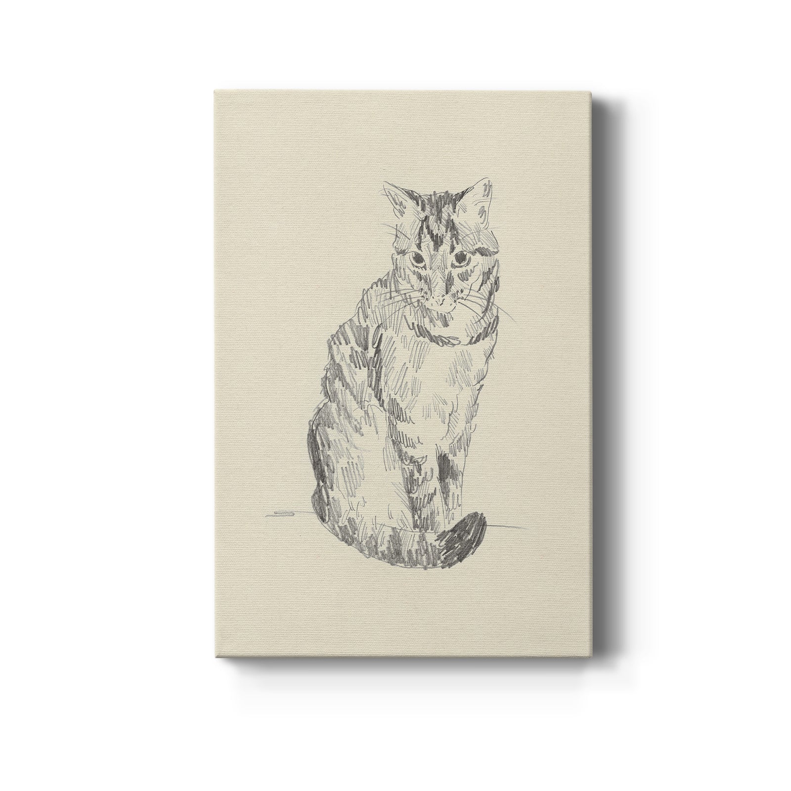 House Cat I - Canvas Art Print