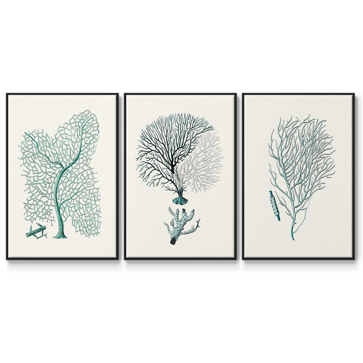 Antique Coastal Coral I - Framed Premium Gallery Wrapped Canvas L Frame 3 Piece Set - Ready to Hang