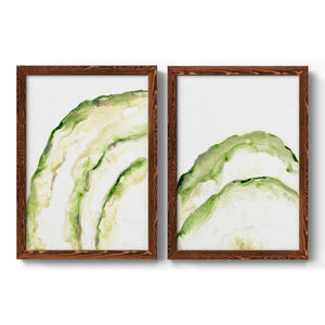 Lichen Halo I - Barnwood Framed Canvas Set
