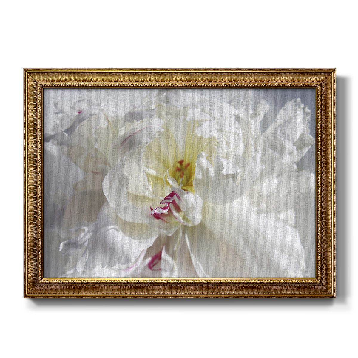 Breathless V - Ornate Framed Canvas Print