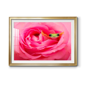 Hanging On VIII - Modern Framed Art Print