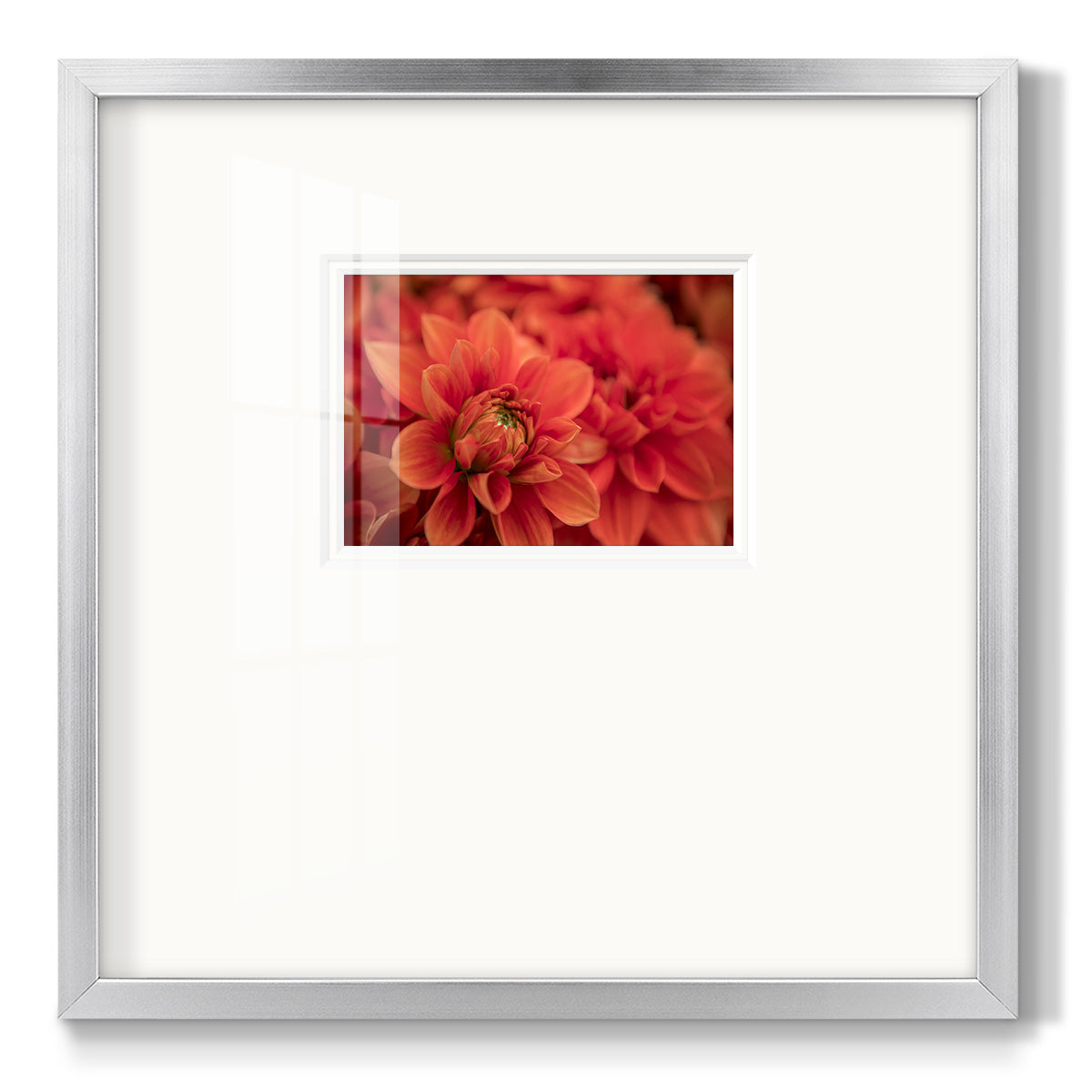 Spring Fire- Premium Framed Print Double Matboard