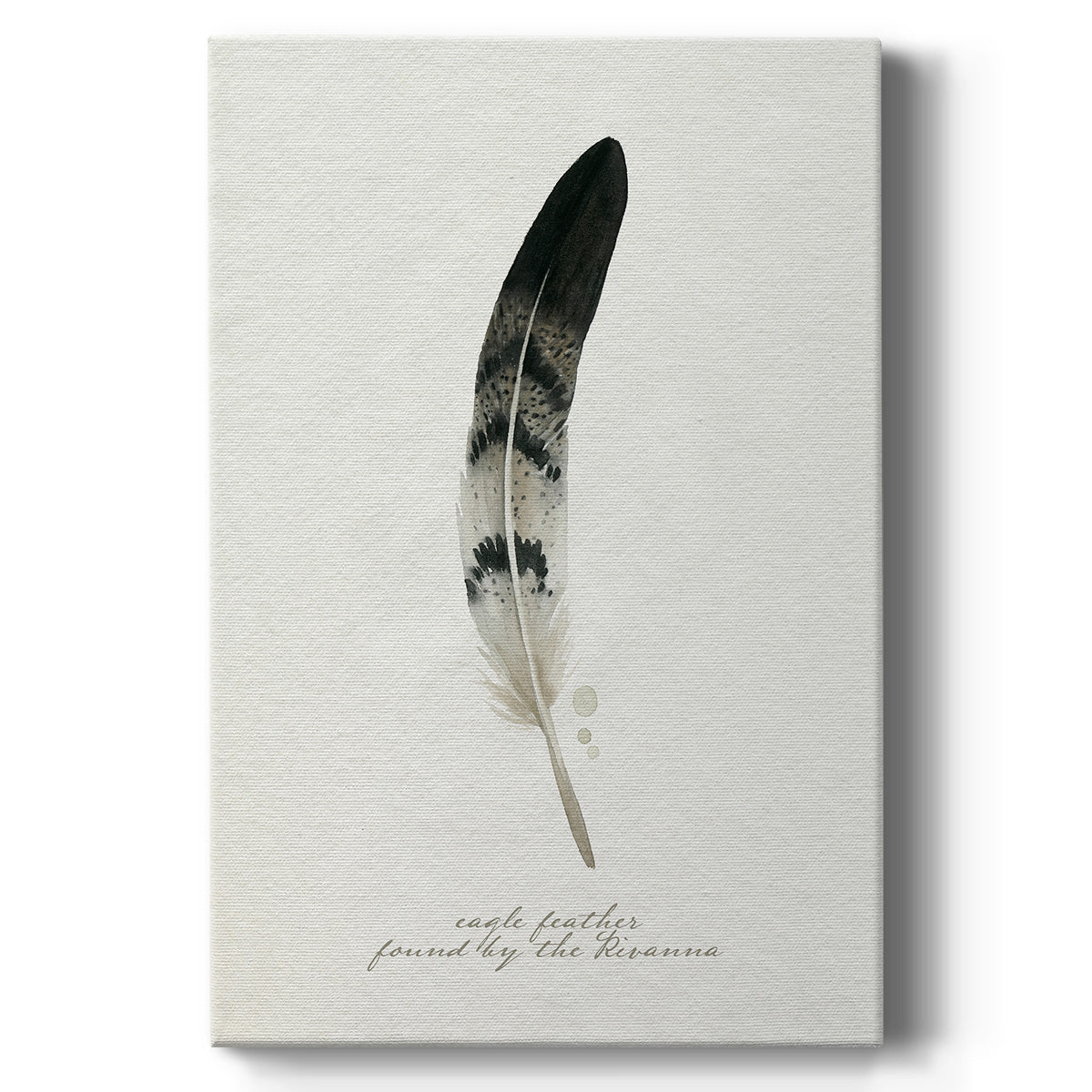Found Feather I - Canvas Art Print