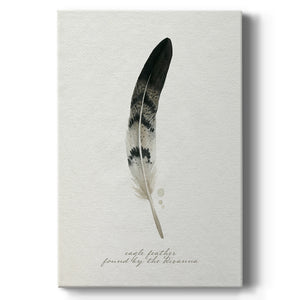 Found Feather I - Canvas Art Print