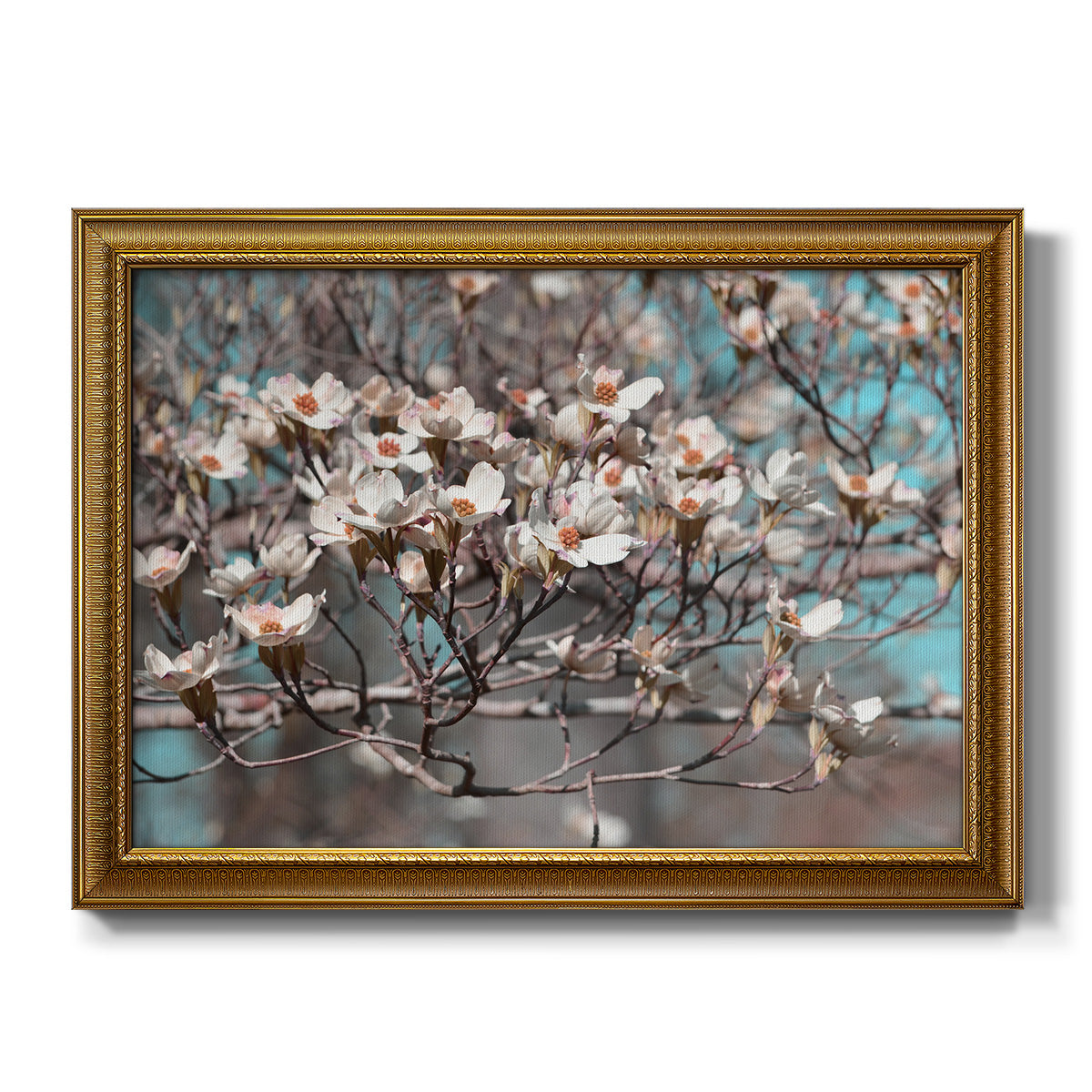 Dogwood Spring II - Ornate Framed Canvas Print