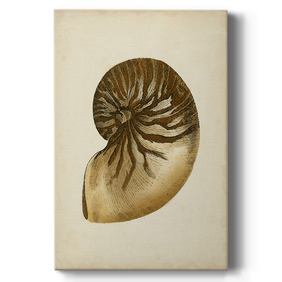 Sealife Collection V - Canvas Art Print