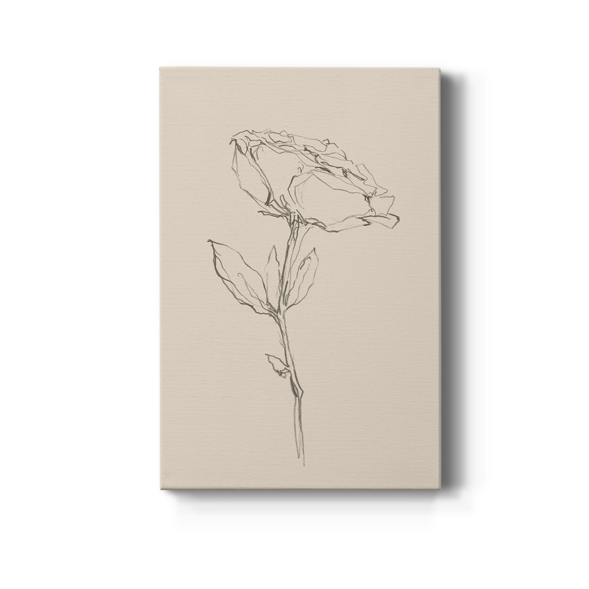 Floral Contour Study IV Premium Gallery Wrapped Canvas - Ready to Hang