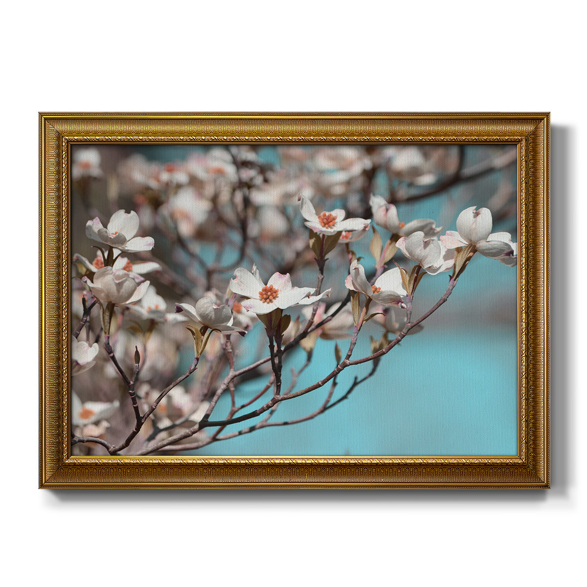 Dogwood Spring III - Ornate Framed Canvas Print