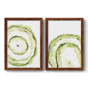 Lichen Halo III - Barnwood Framed Canvas Set