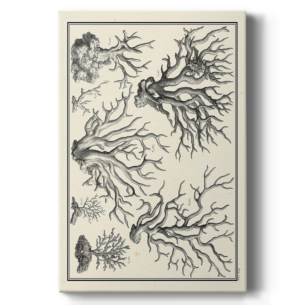 Aegean Collection III - Canvas Art Print