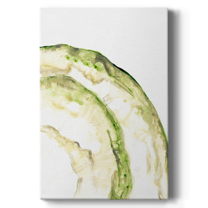 Lichen Halo VI - Canvas Art Print