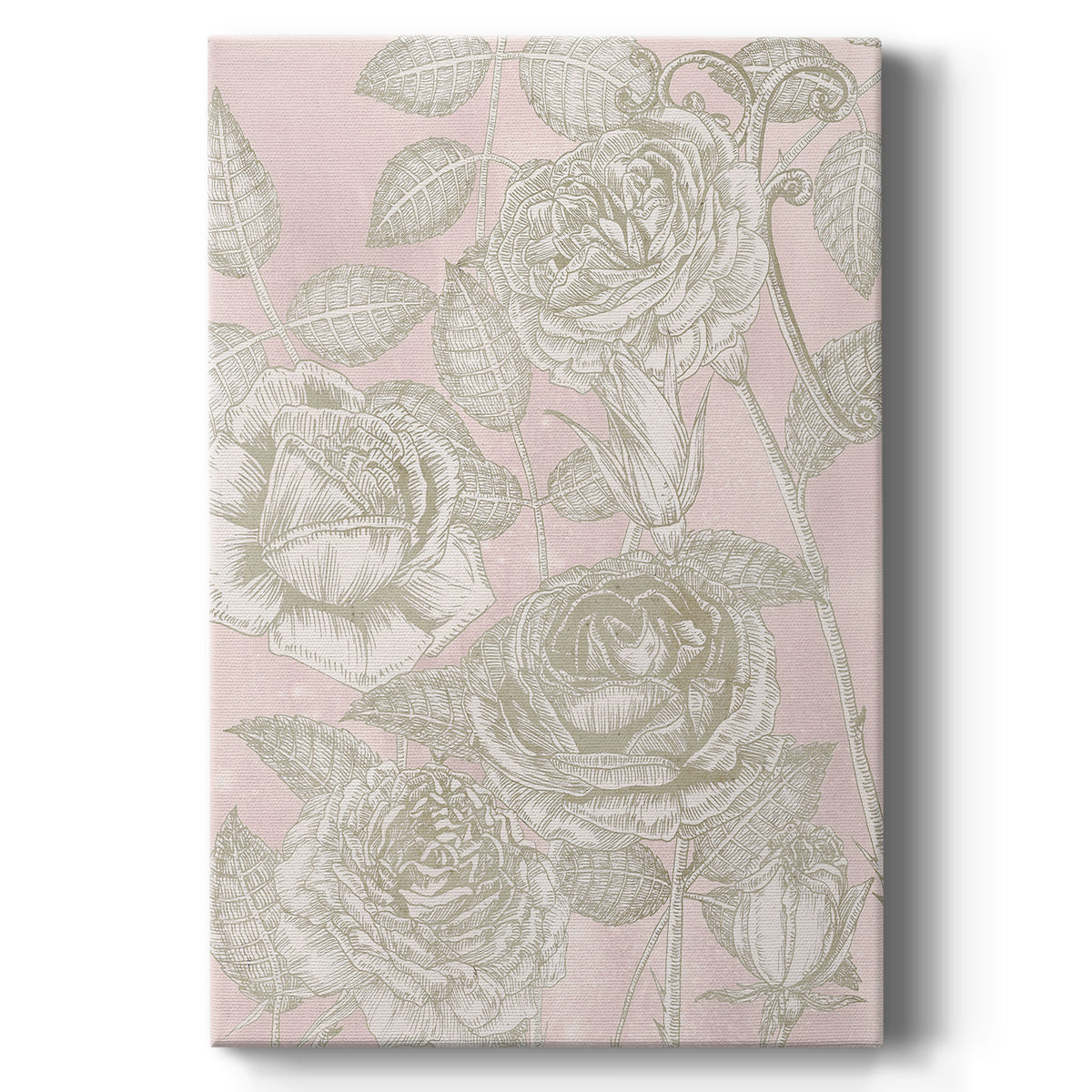 Blooming Roses II Premium Gallery Wrapped Canvas - Ready to Hang