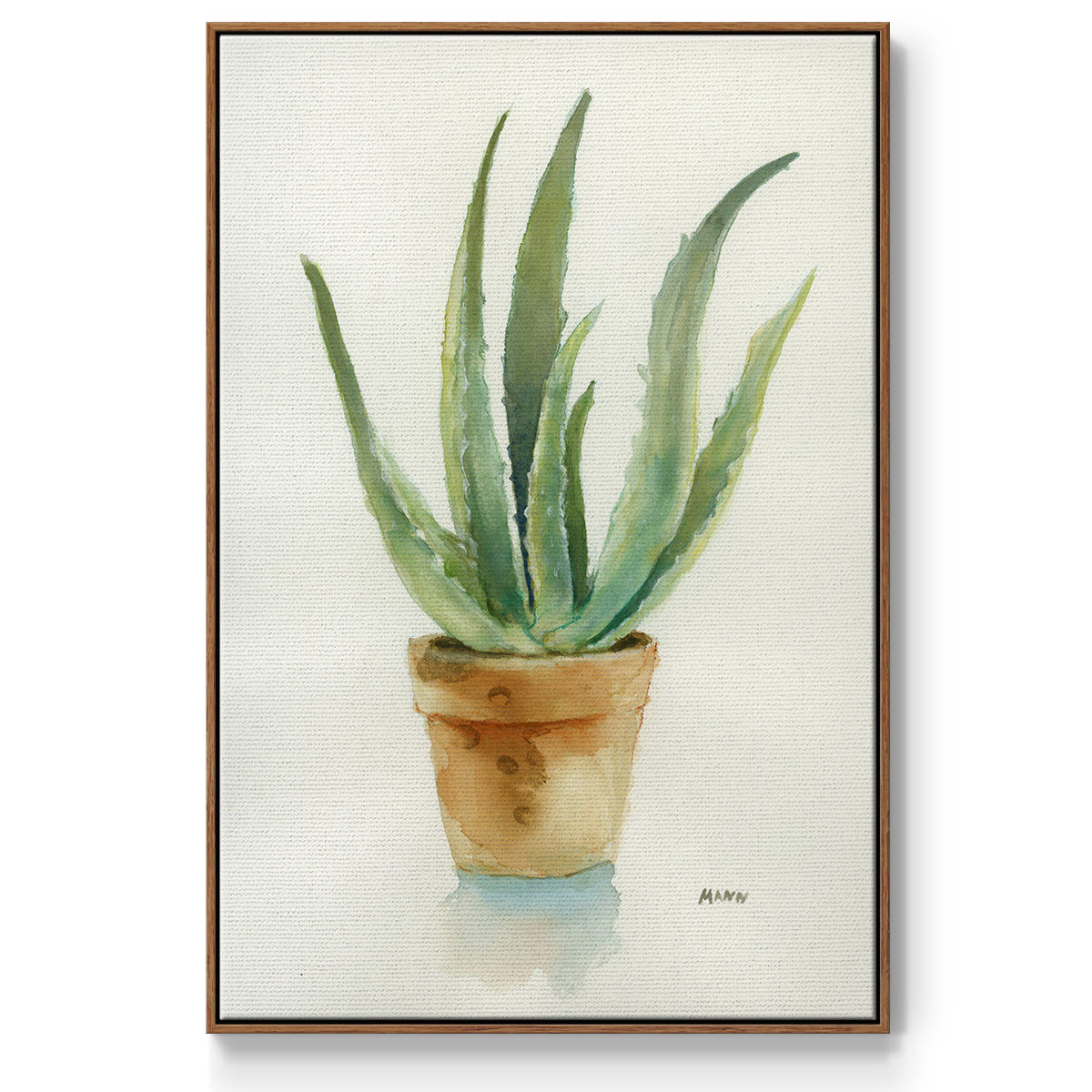 Succulent IV - Framed Premium Gallery Wrapped Canvas L Frame - Ready to Hang