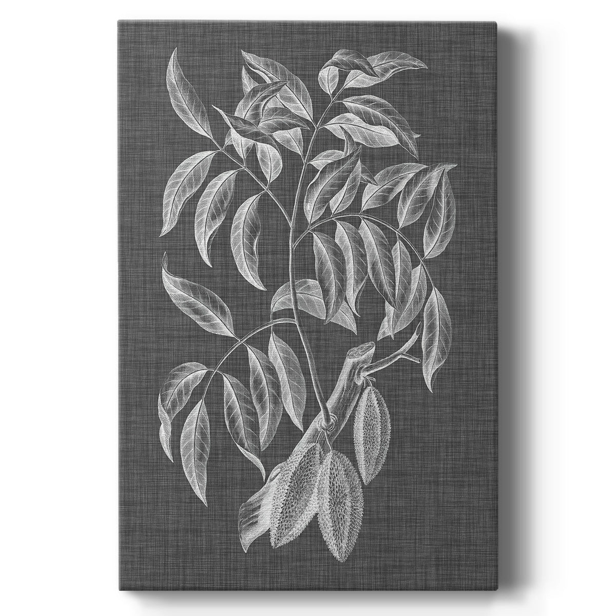 Graphic Foliage III - Canvas Art Print