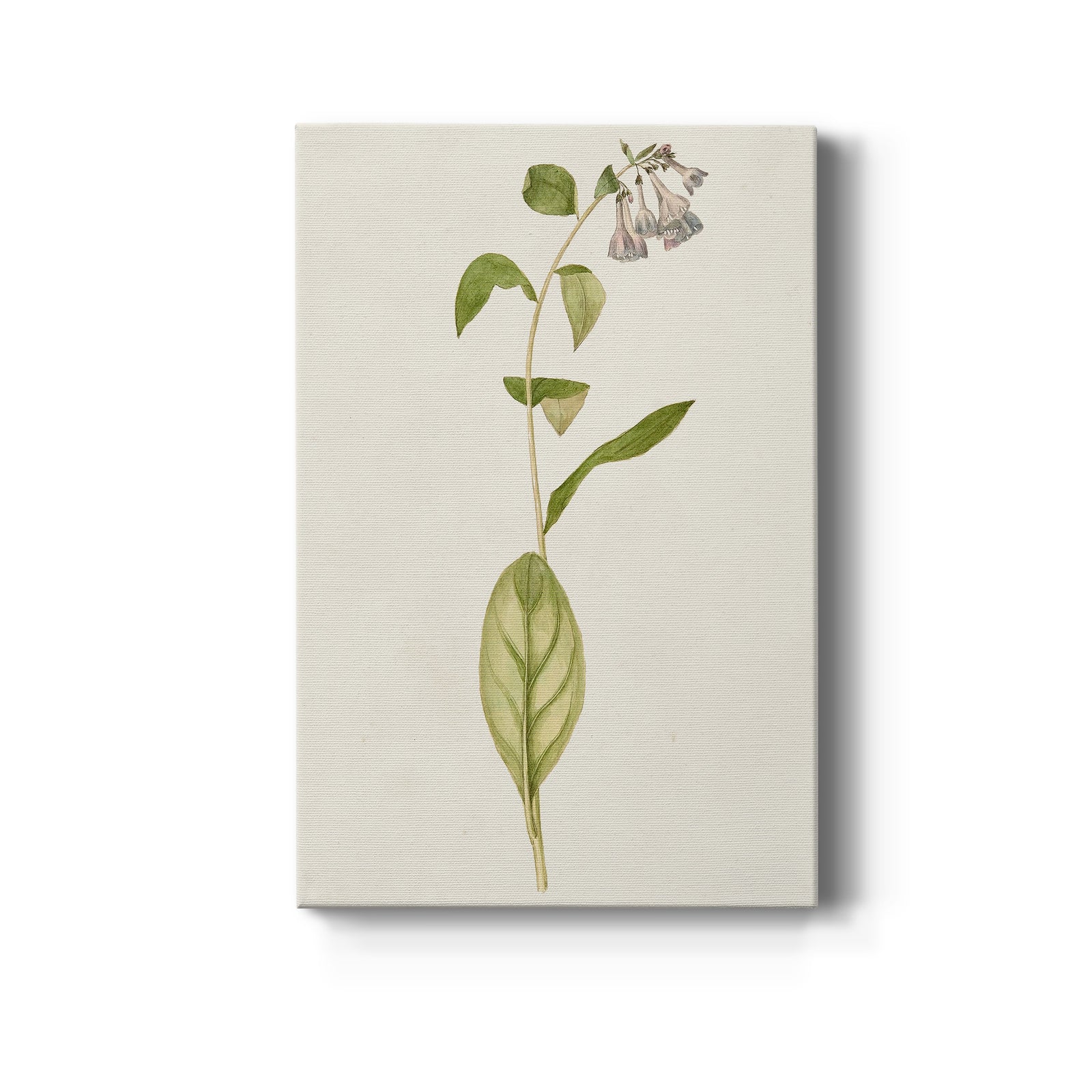Mauve Garden Flowers IV - Canvas Art Print