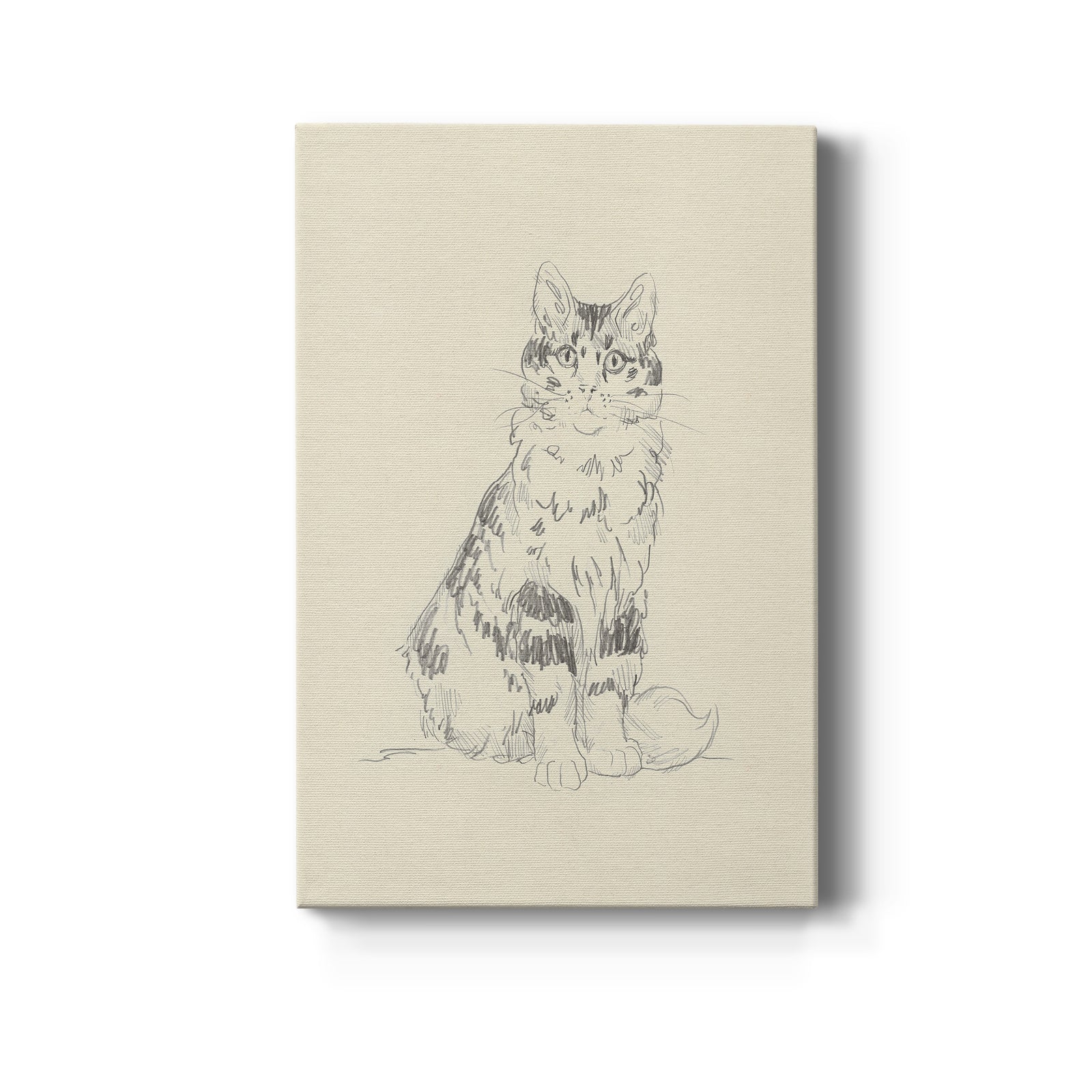 House Cat III - Canvas Art Print
