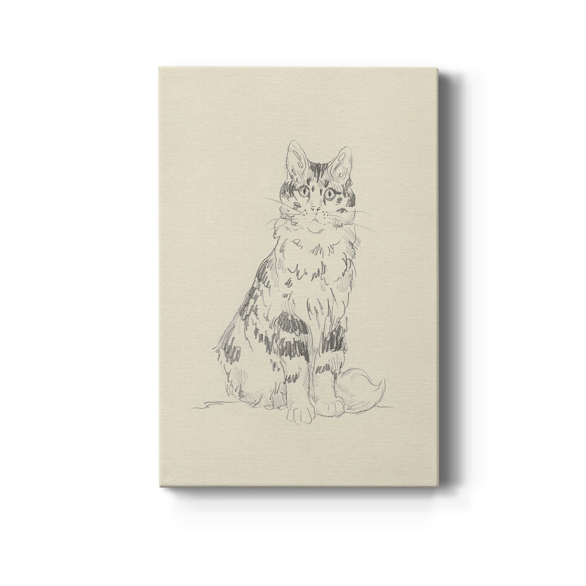 House Cat III Premium Gallery Wrapped Canvas - Ready to Hang