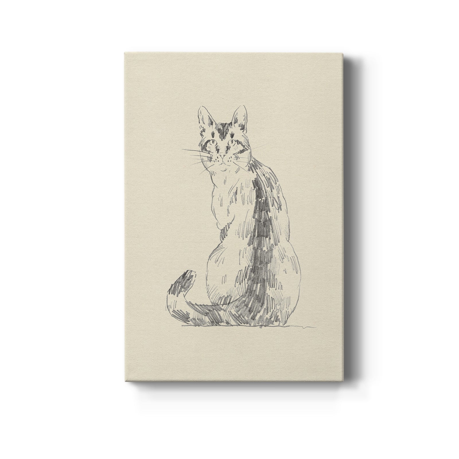 House Cat V - Canvas Art Print
