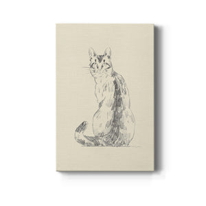 House Cat V Premium Gallery Wrapped Canvas - Ready to Hang