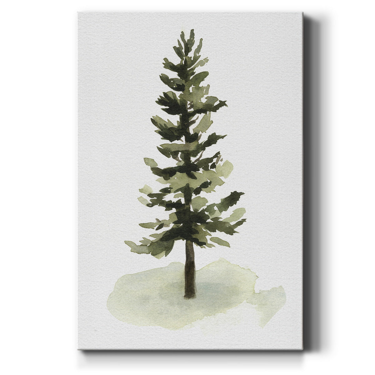 Watercolor Pine II Premium Gallery Wrapped Canvas - Ready to Hang